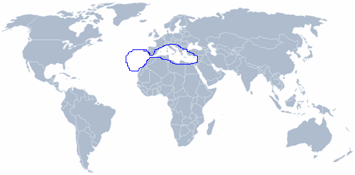 wereldkaart